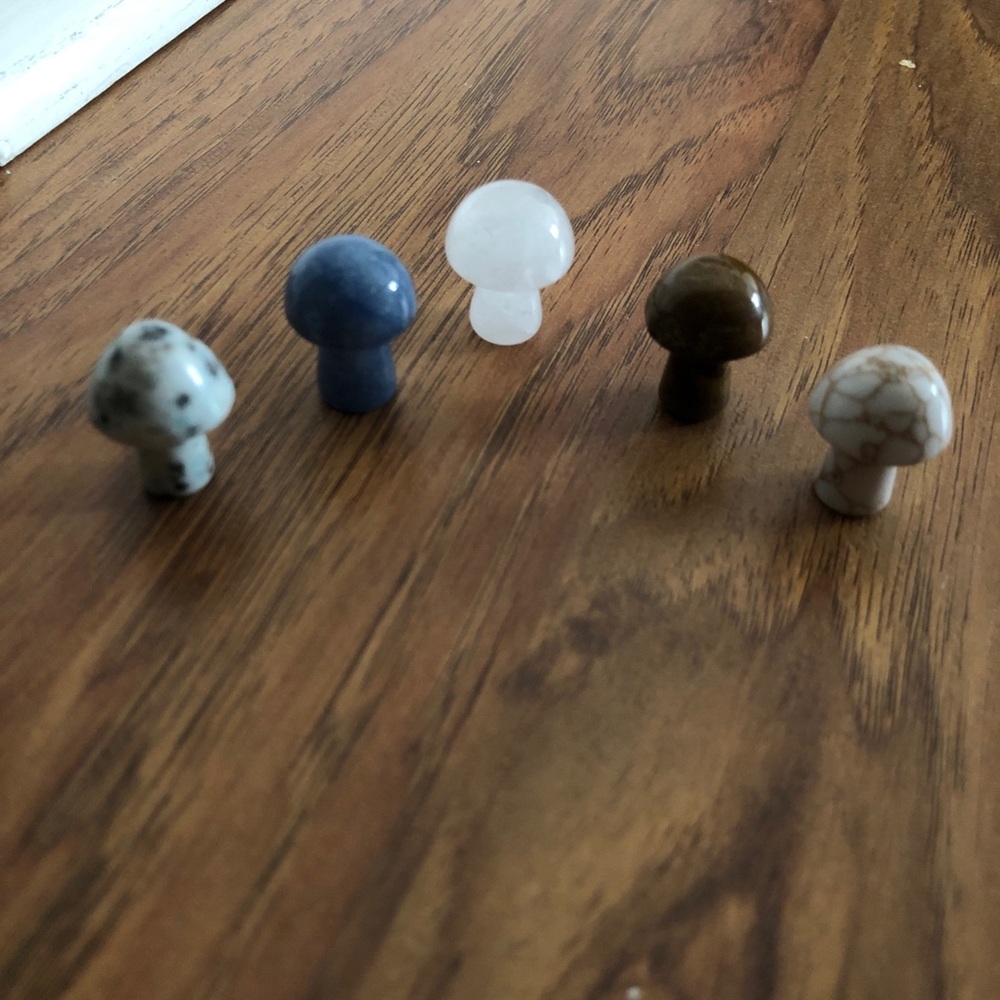 Set of Five Stone Mushroom Figurines